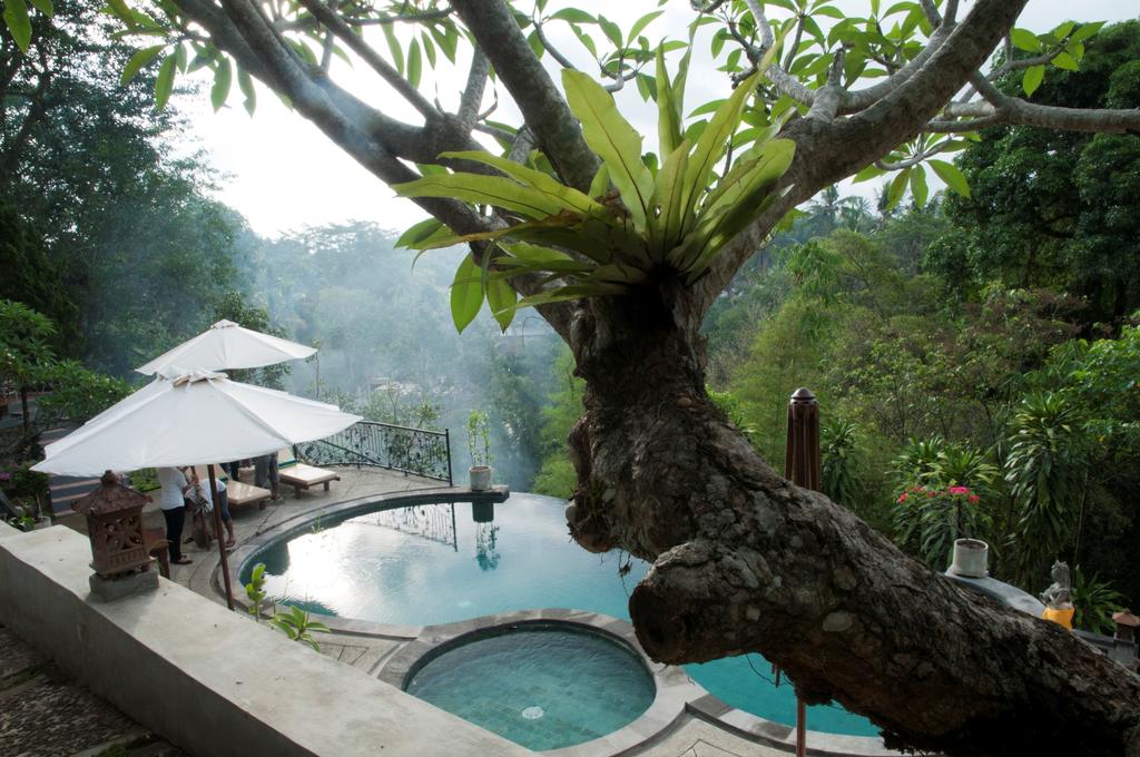 Отдых в отеле Dedari Villa Бали (курорт) Индонезия