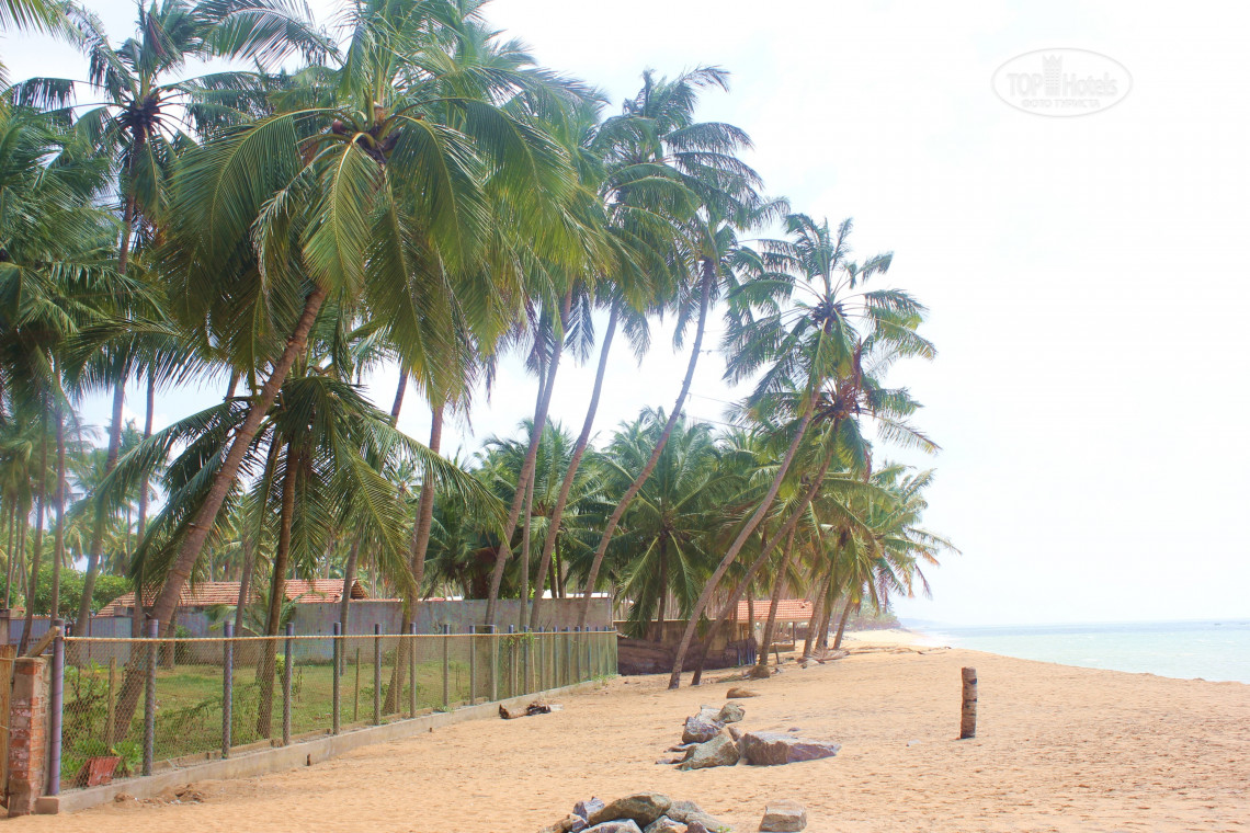 Olenka Beach Hotel, Шри-Ланка, Маравила, туры, фото и отзывы