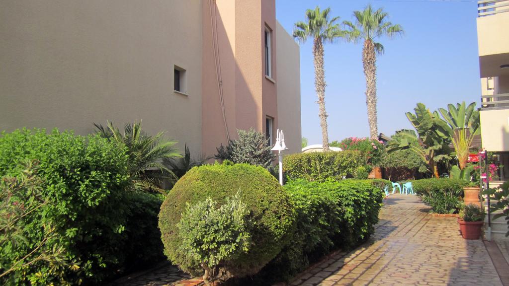 Senator Hotel Apartments, Айя-Напа, Кипр, фотографии туров