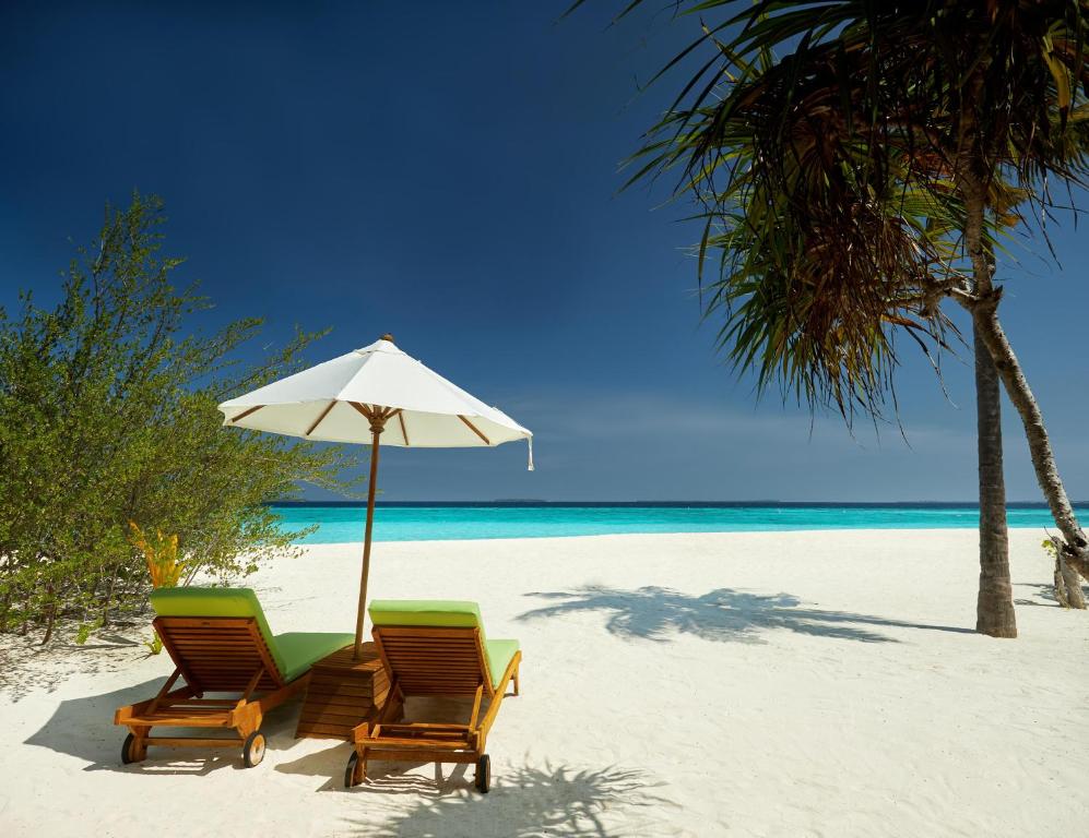 Hotel, The Beach House at Iruveli Maldives