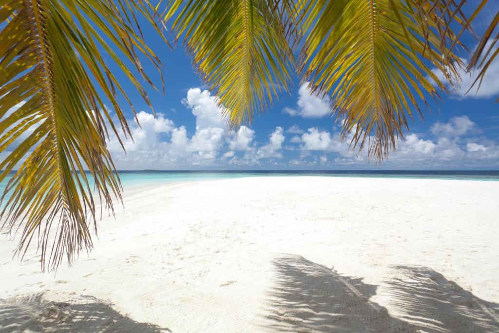 Hot tours in Hotel Sandies Bathala Island Resort Ari & Razd Atoll