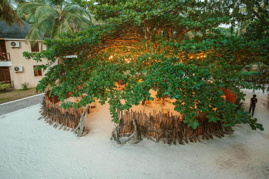 Відгуки туристів Kae Beach Zanzibar Resort