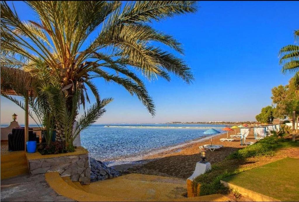Merit Cyprus Gardens Seafront Resort & Beach & Casino, Фамагуста, Туреччина, фотографії турів