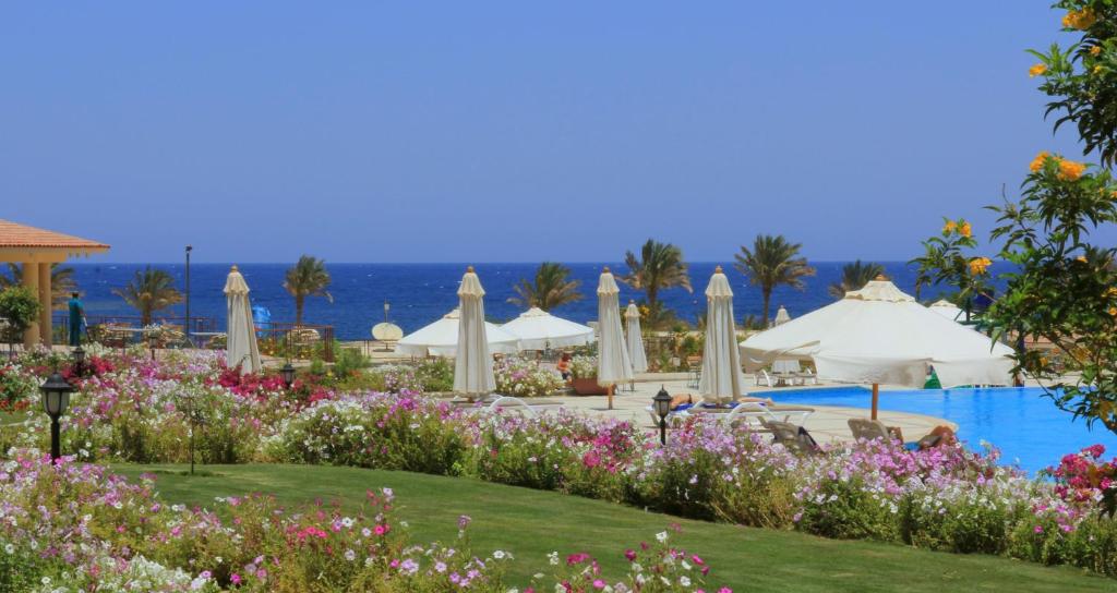 Royal Brayka Beach Resort, Марса Алам, Egypt, фотографії турів