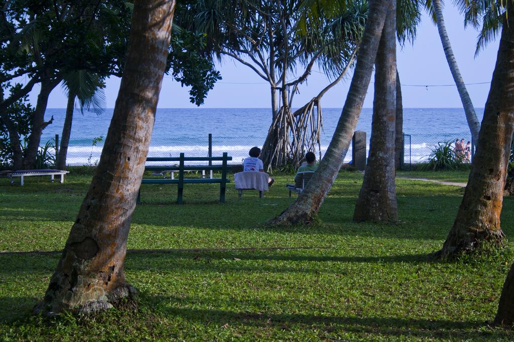 Mawella Beach Resort, Тангалле, Шри-Ланка, фотографии туров