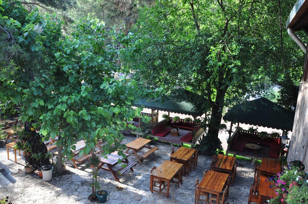 Тури в готель Turkmen Tree Houses