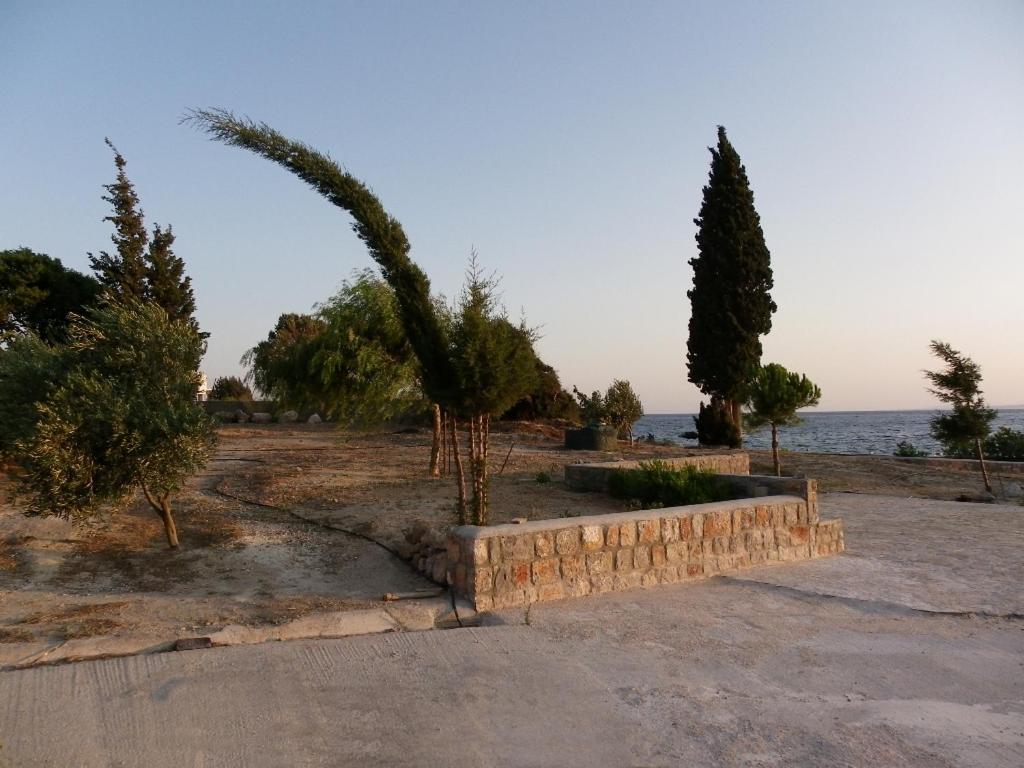 Pefki Beach Front Villa, Родос (Средиземное побережье), Греция, фотографии туров