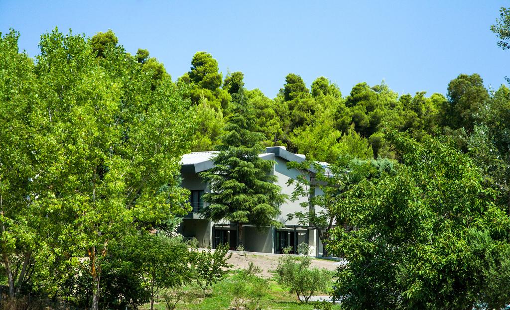 Sani Woods Apartments Греция цены