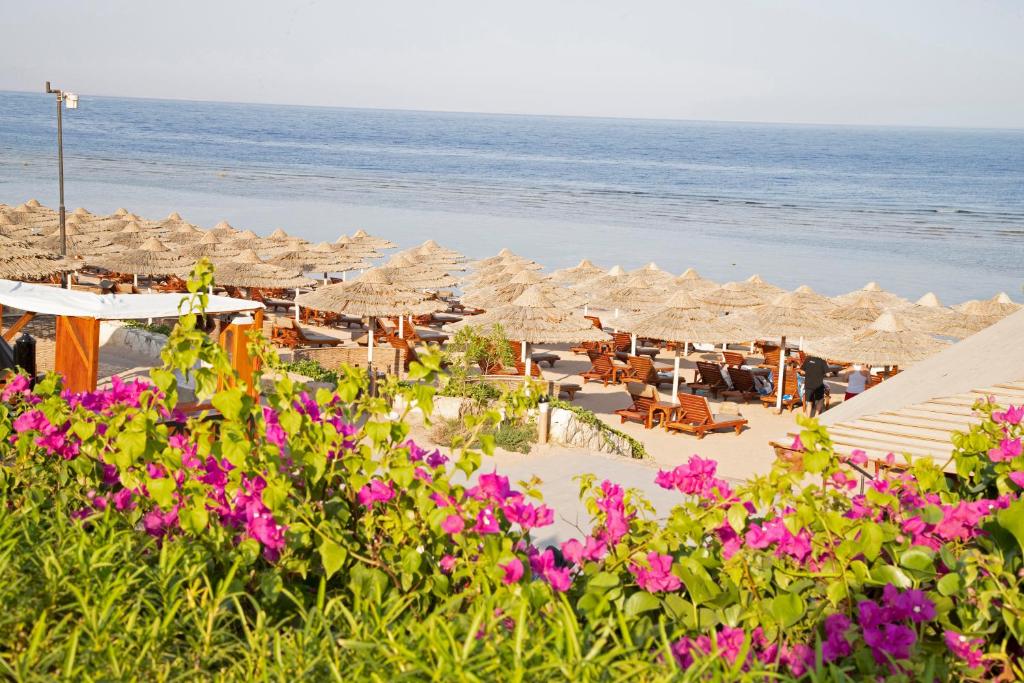 Cleopatra Luxury Resort Sharm El Sheikh, фотографии