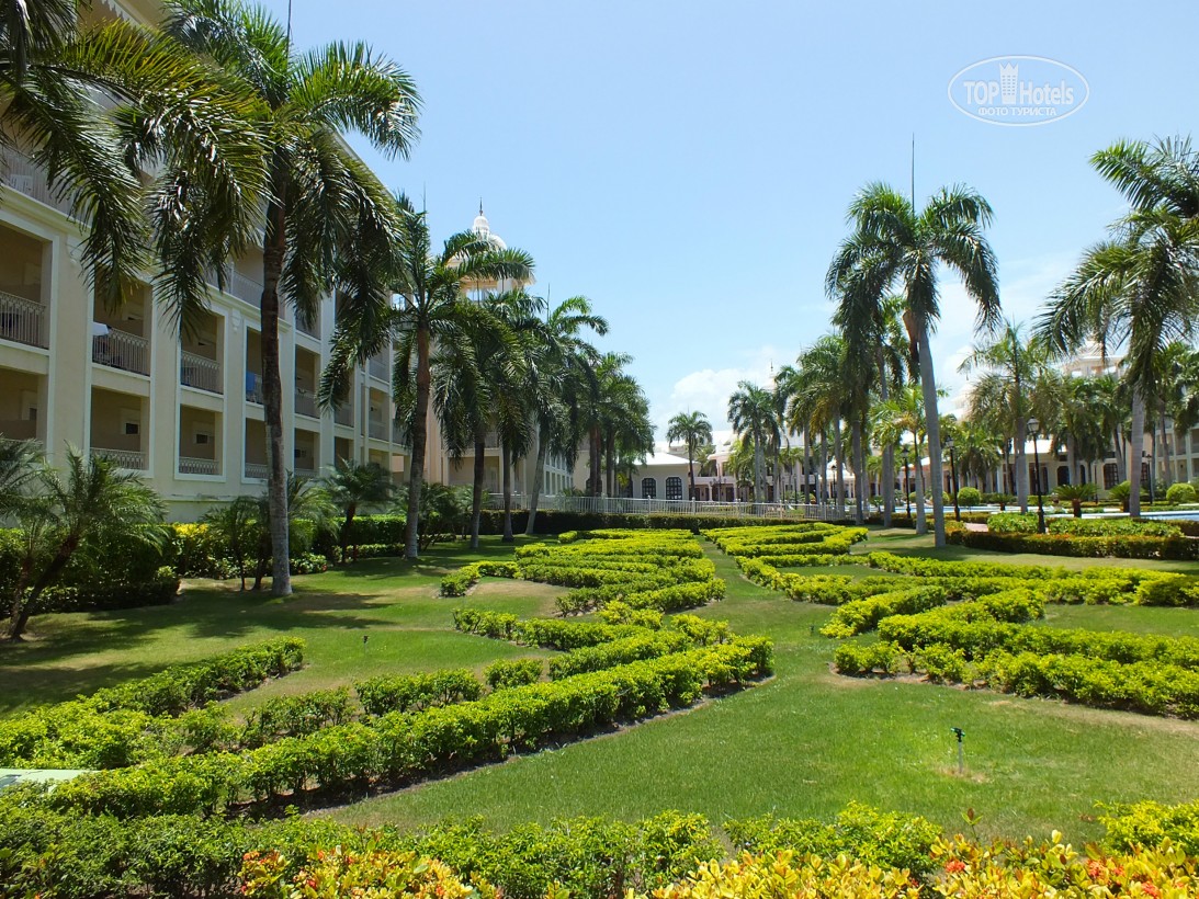 Reviews of tourists Riu Palace Punta Cana
