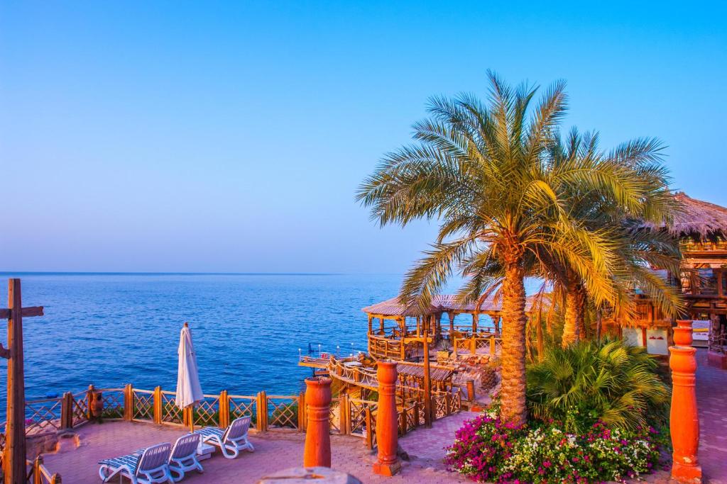 Tours to the hotel Golf Beach Resort Managed by Rixos (ex. Jolie Ville Golf & Resort) Sharm el-Sheikh