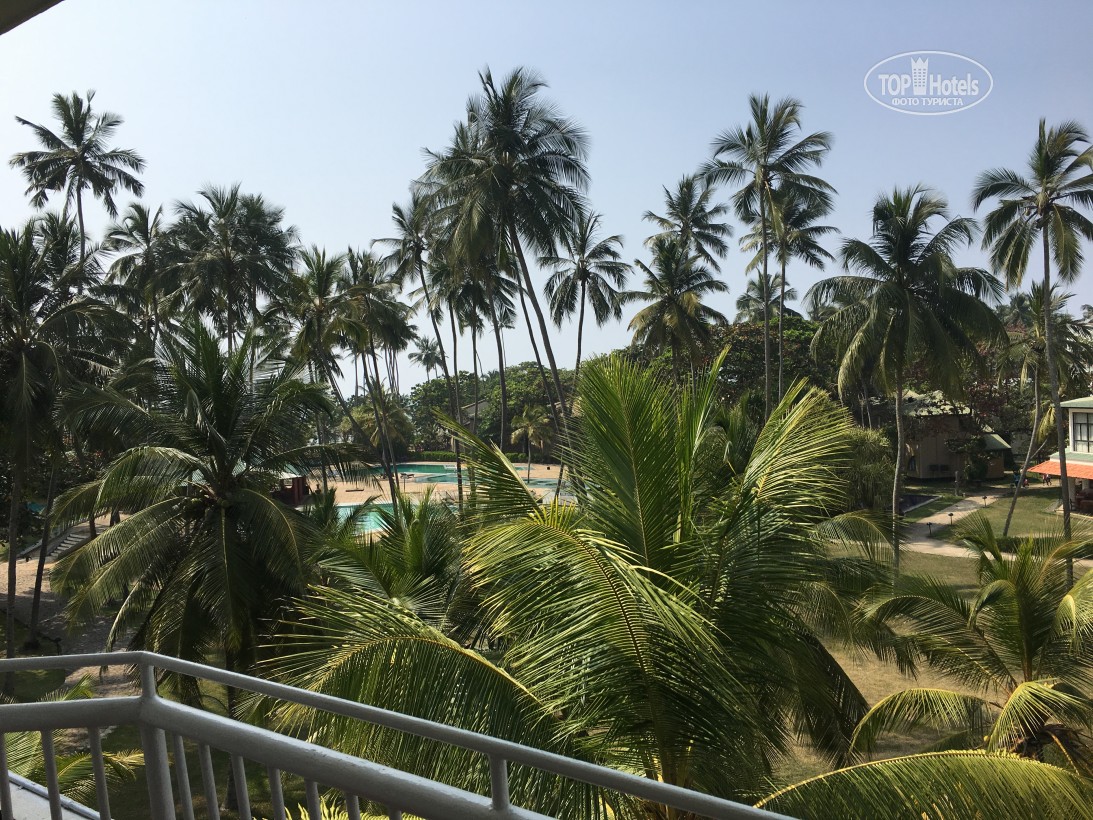 Villa Ocean View Hotel Шри-Ланка цены