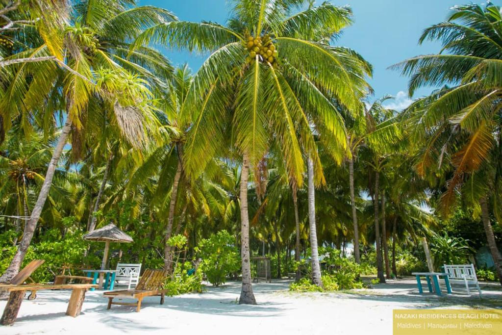 Nazaki Residence, Лааму Атолл, Мальдивы, фотографии туров