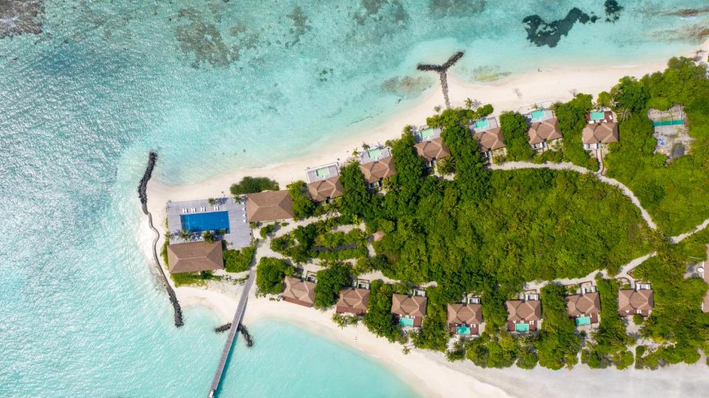 Hotel, Malediwy, Atol Nuunu, Noku Maldives (ex. Roxy Maldives)