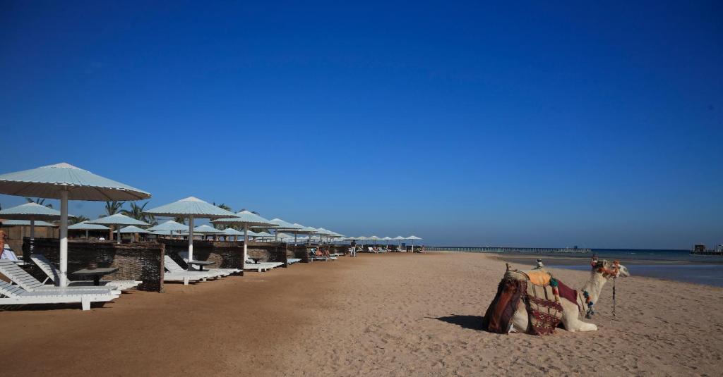 Oferty hotelowe last minute Pharaoh Azur Resort (ex. Sonesta Pharaoh Beach Resort) Hurghada Egipt
