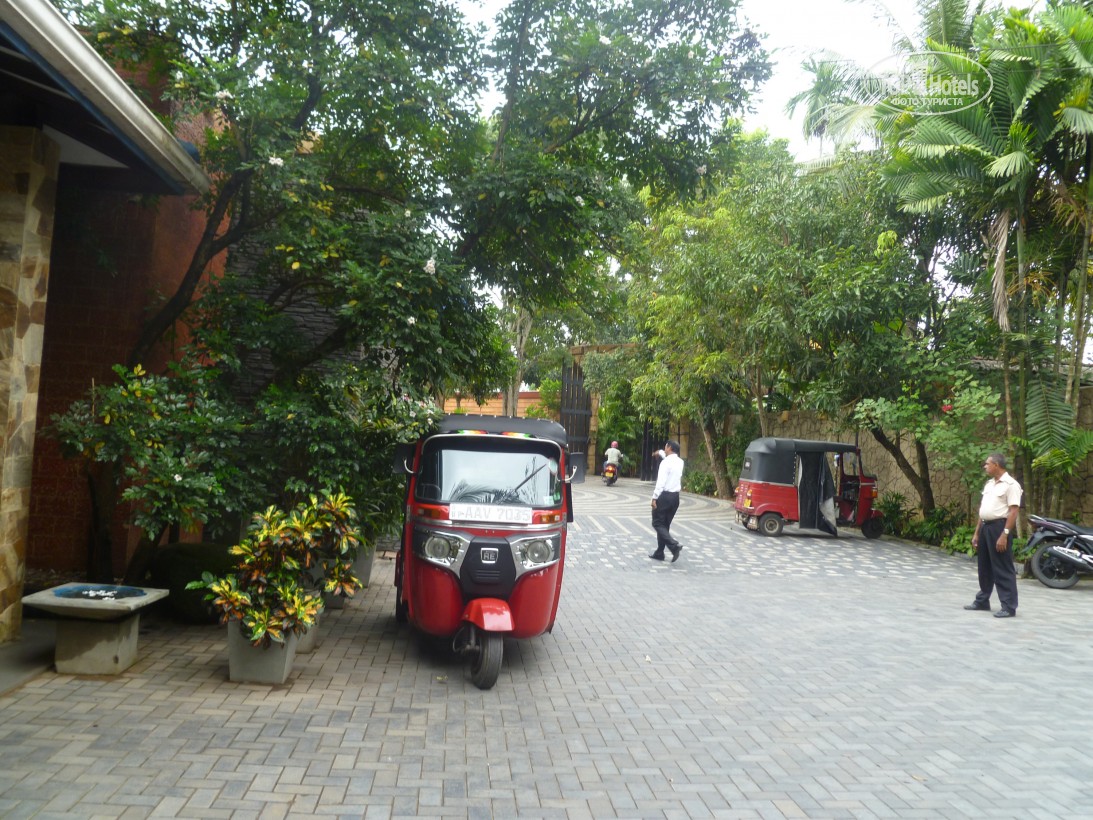 Panorama Hotel, Калутара, фотографії турів