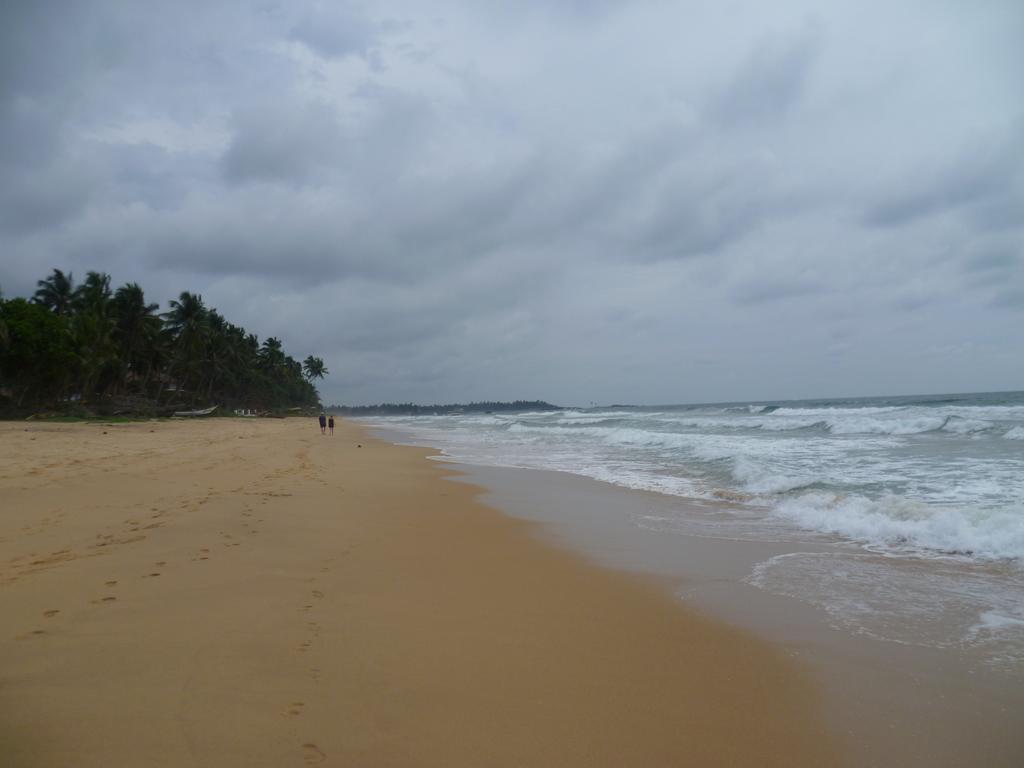Отдых в отеле Nippon Villa Beach Resort Hikkaduwa Хиккадува Шри-Ланка
