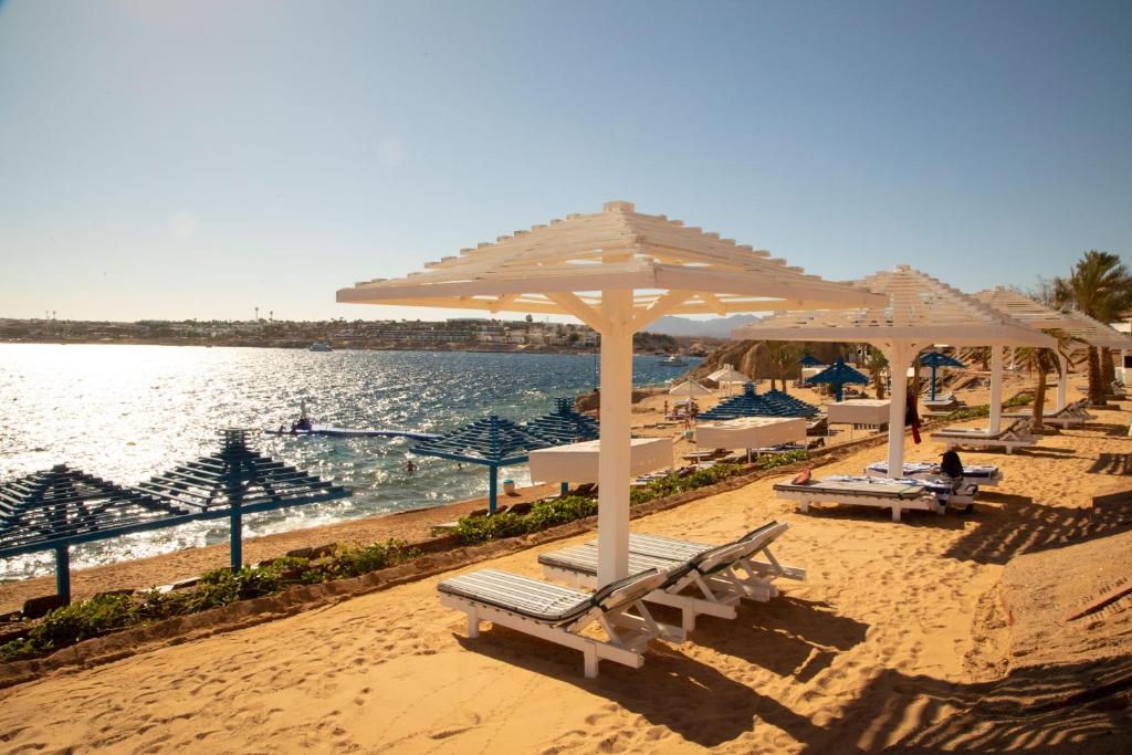 Recenzje turystów Grand Oasis Resort Sharm El Sheikh
