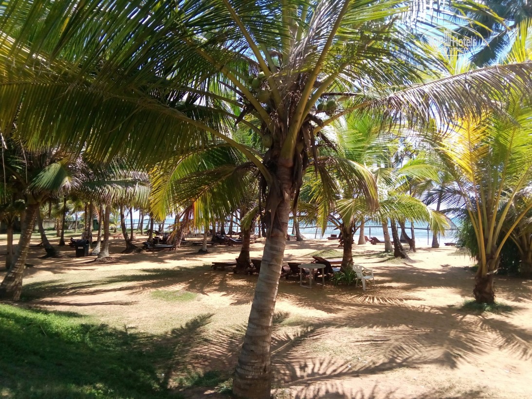 Шрі-Ланка Villa Ocean View Hotel