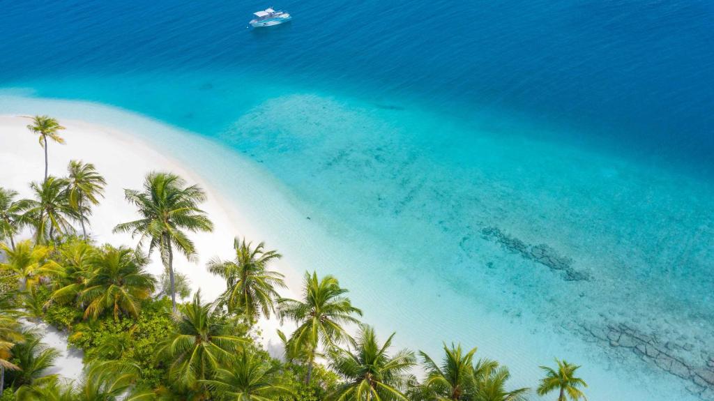 Відгуки про готелі Fiyavalhu Maldives