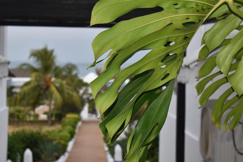 Горящие туры в отель Kendwa Beach Resort Кендва