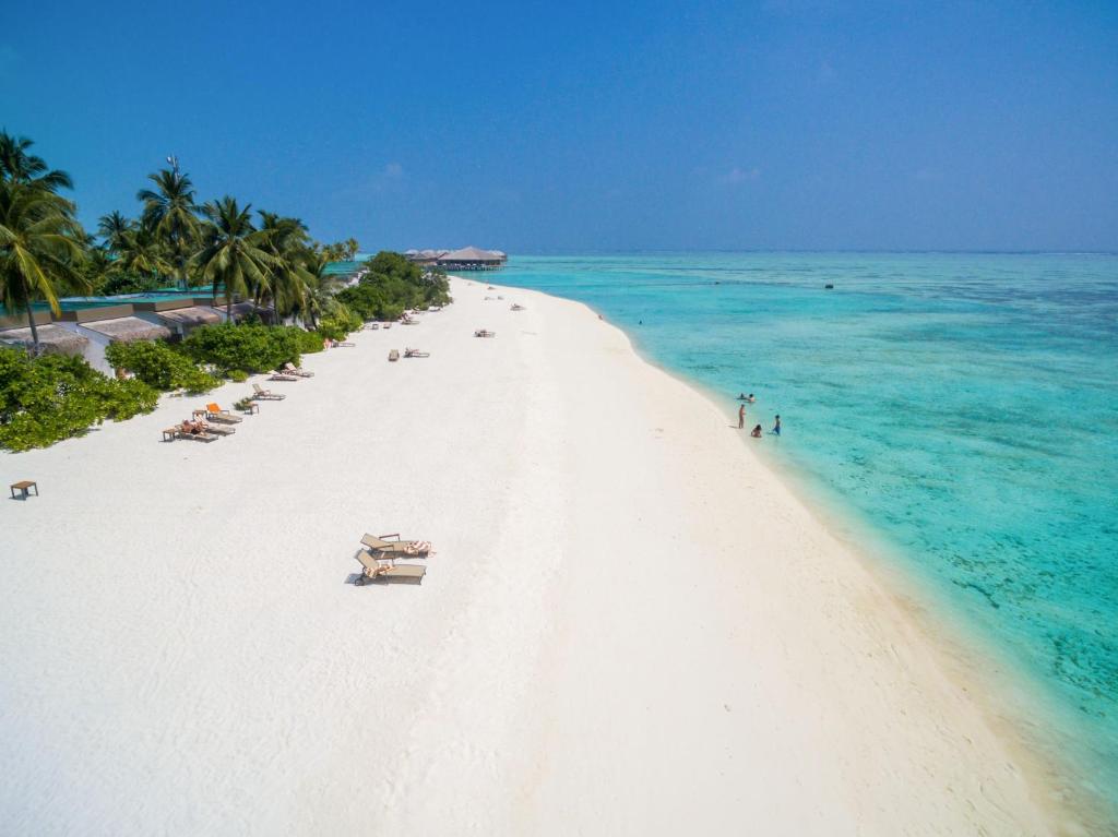 Cocoon Maldives, Мальдіви, Лавіані Атол