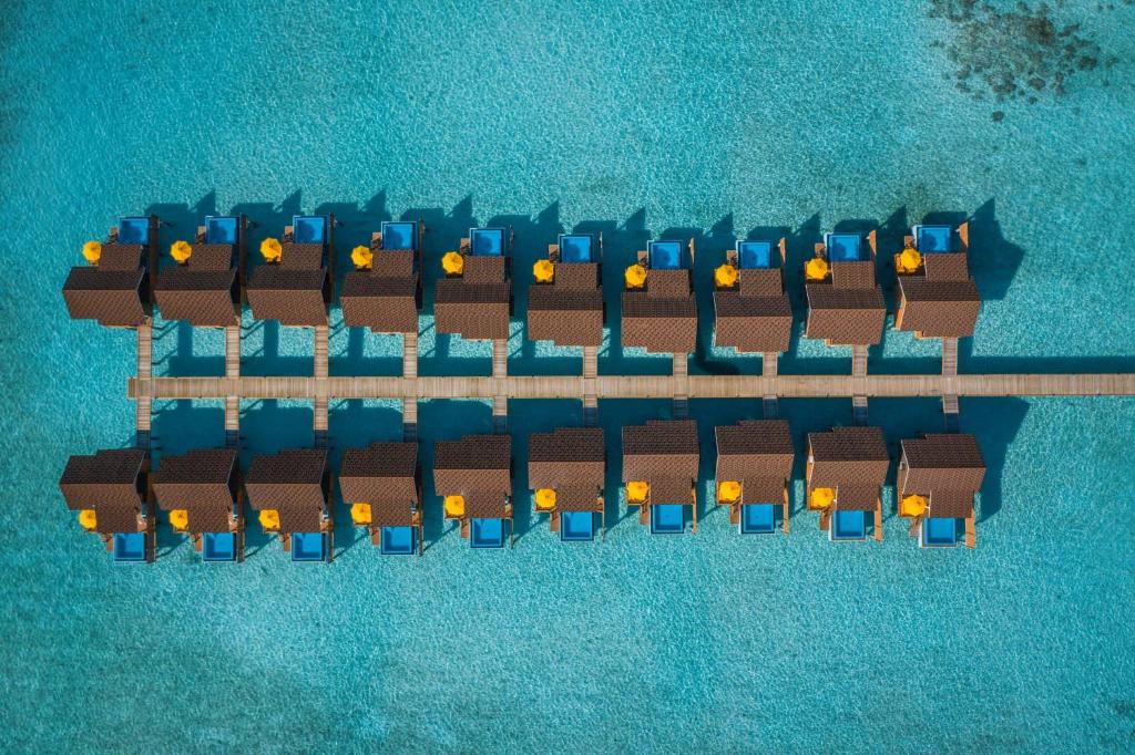 Dhigufaru Island Resort, Баа Атолл, Мальдивы, фотографии туров