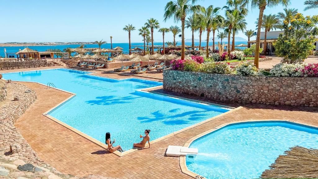 Hotel, Sharm el-Sheikh, Egypt, Club Reef