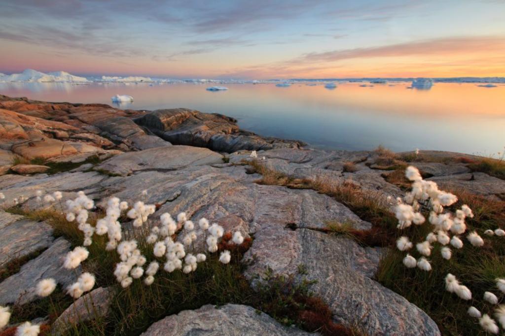 Hotel Arctic, Илулиссат, фотографии туров