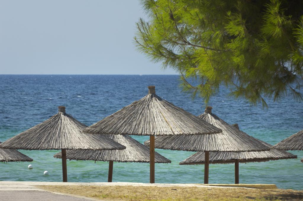 Portes Beach Hotel, Греция, Кассандра, туры, фото и отзывы