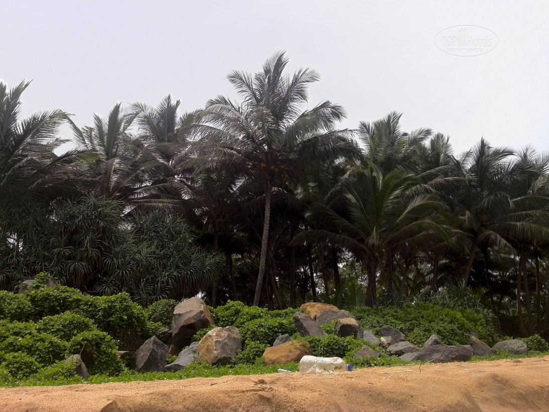 Induruwa Beach, Индурува, Шри-Ланка, фотографии туров