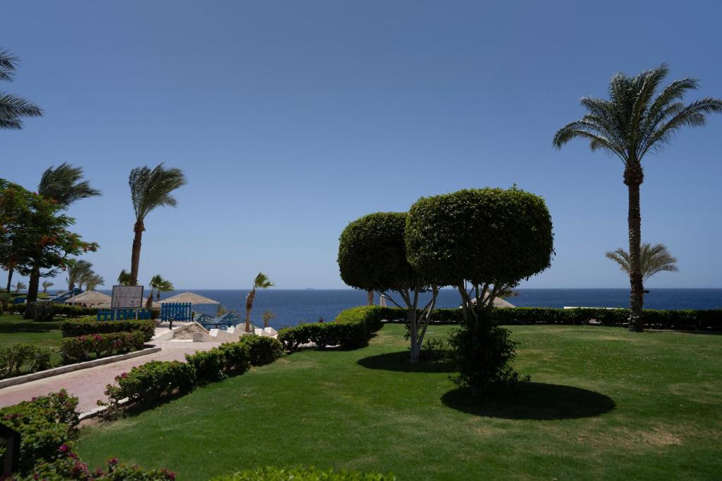 Wakacje hotelowe Grand Oasis Resort Sharm El Sheikh