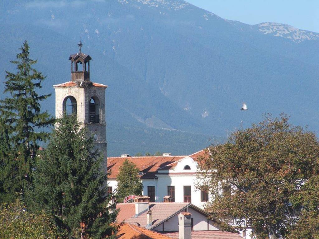 Elena Lodge, Банско, Болгарія, фотографії турів