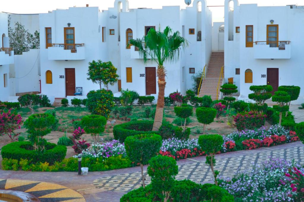 Отдых в отеле Grand Halomy Resort Шарм-эль-Шейх Египет