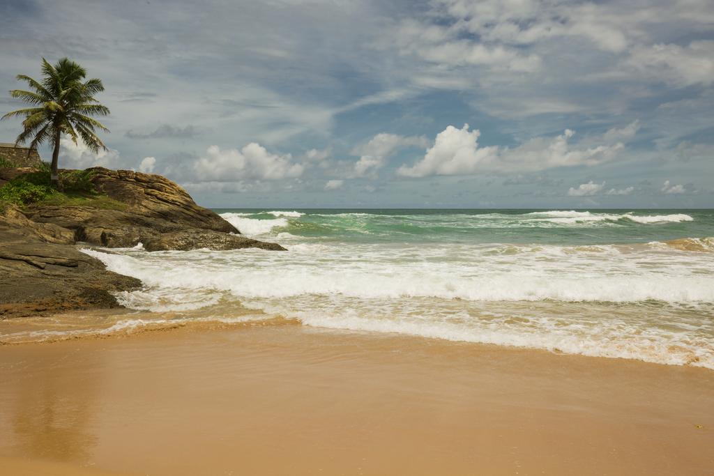 Rock Side Beach Resort Шрі-Ланка ціни