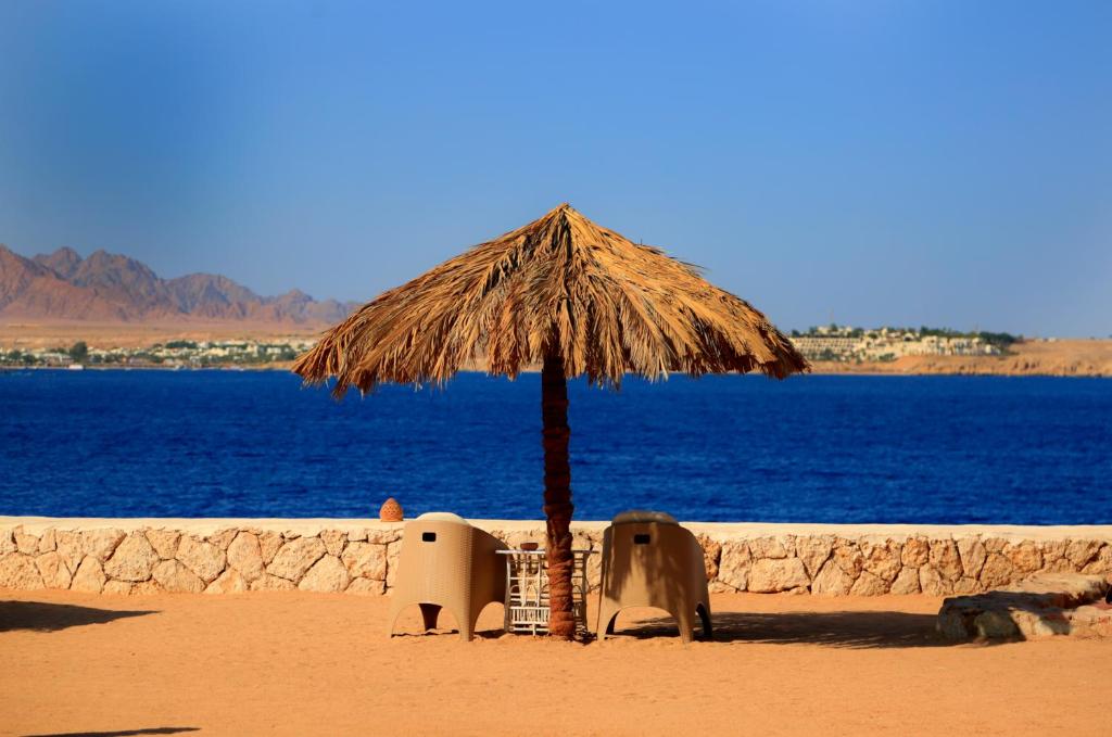 Відгуки туристів Sharm Club Beach Resort (ex. Labranda Tower Sharm)