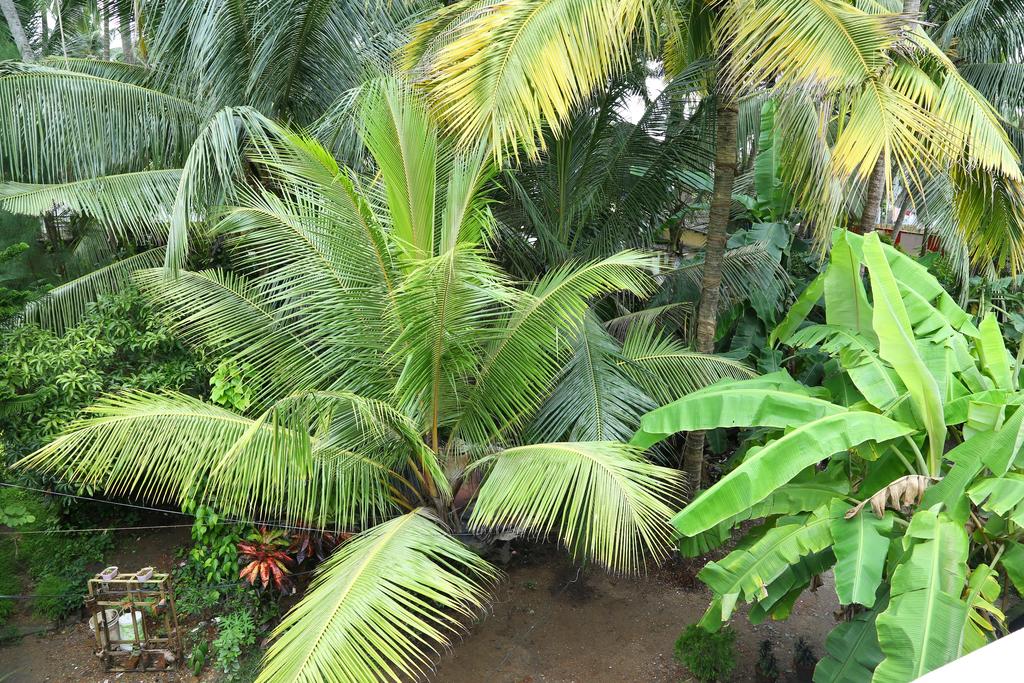 Coconut Grove, Керала