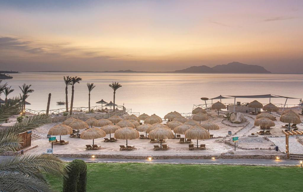 Pyramisa Sharm El Sheikh Resort (ex. Dessole Pyramisa Sharm) Egypt prices