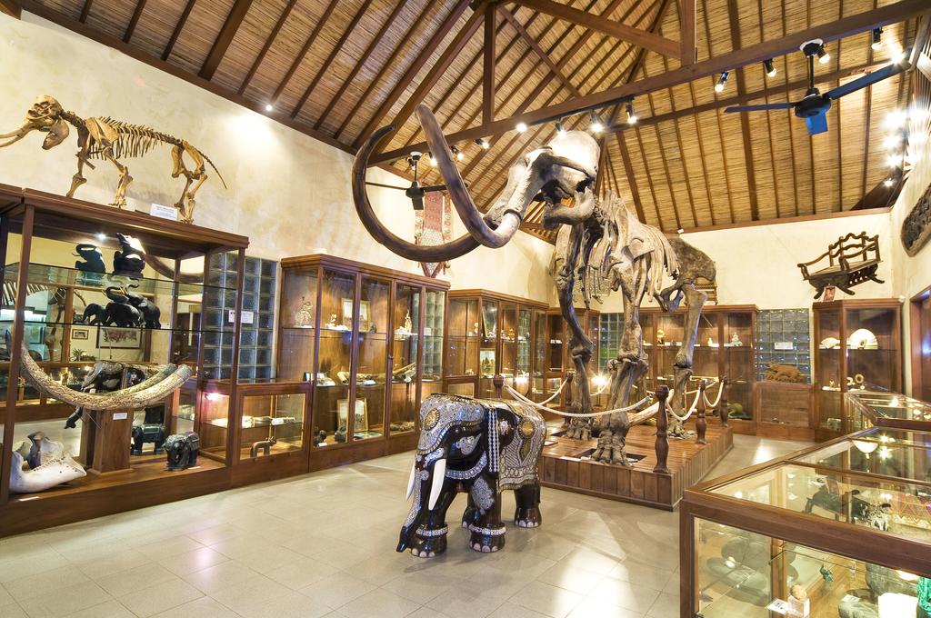 Горящие туры в отель Elephant Safari Park Lodge Кута
