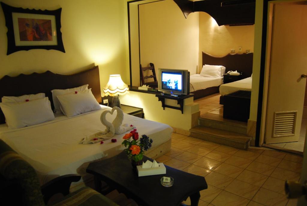 Aida Hotel Sharm El Sheikh Egypt prices