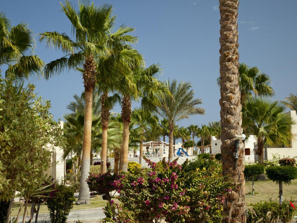 Ціни в готелі Coral Beach Hurghada (ex.Coral Beach Rotana Resort)