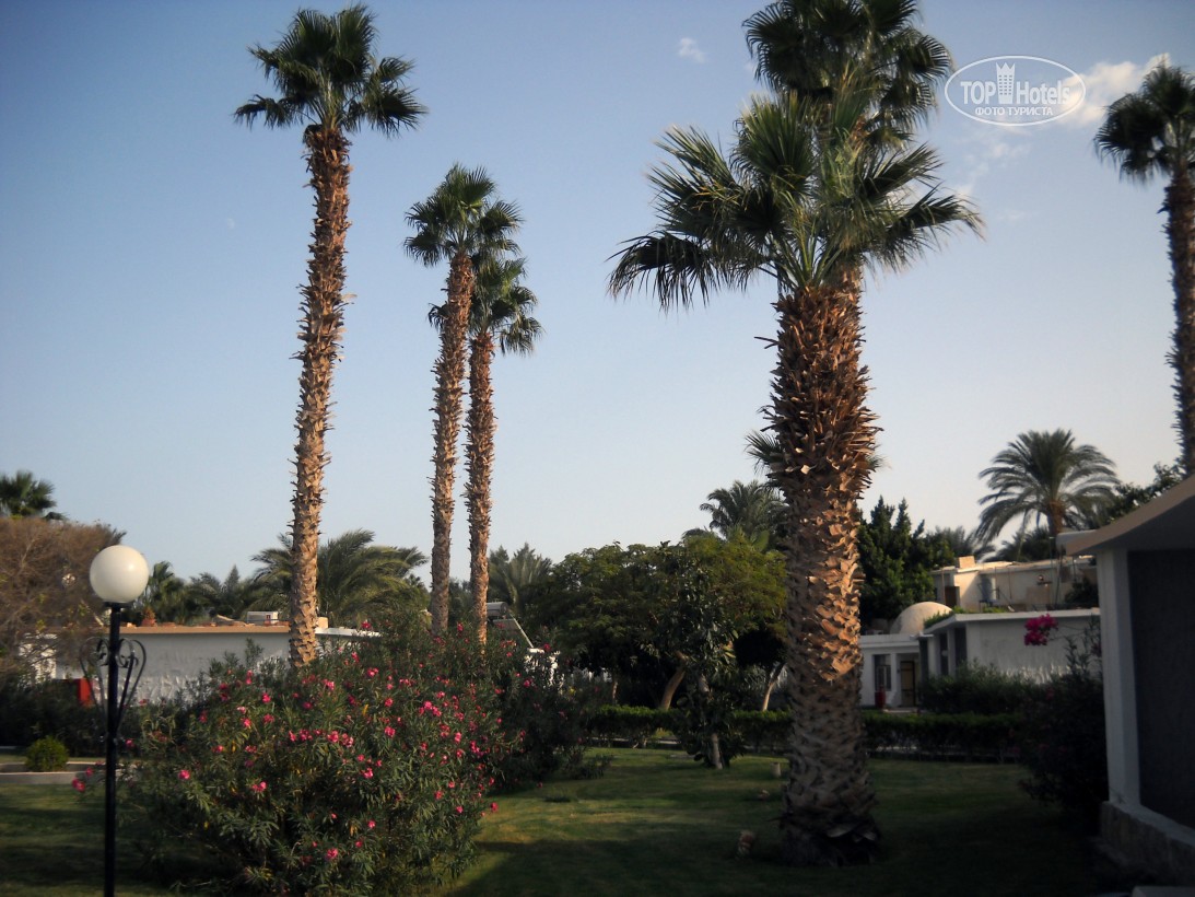 El Samaka Comfort, Hurghada, zdjęcia z wakacje