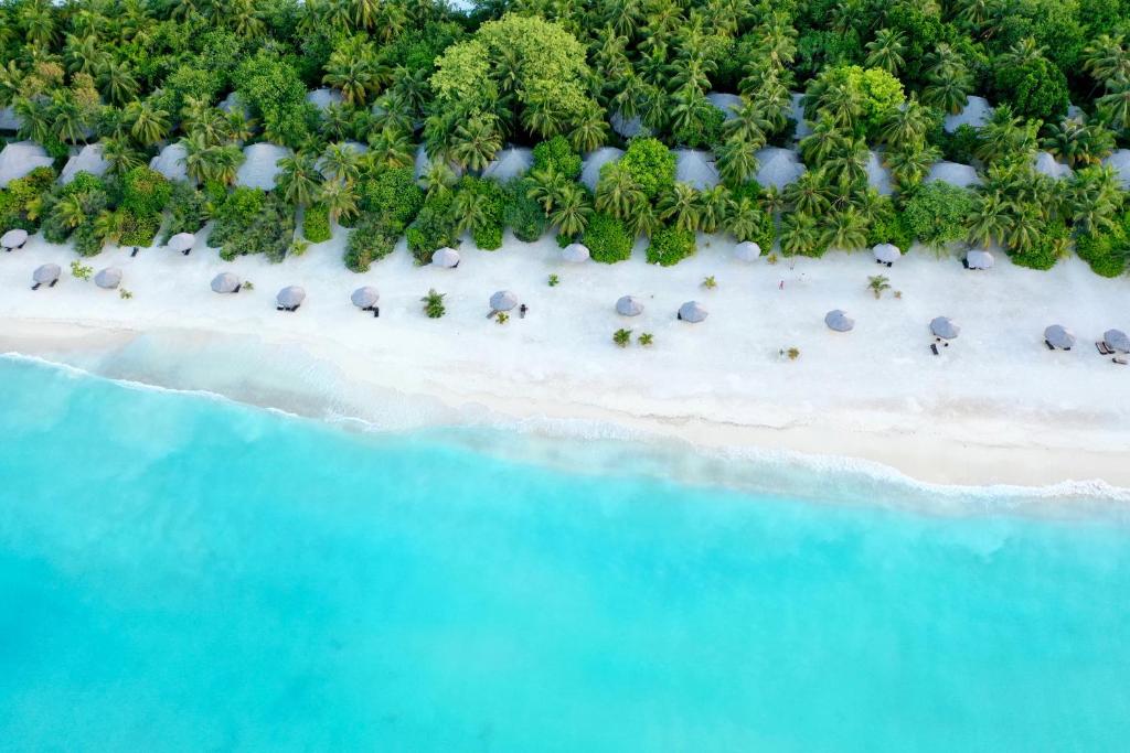Kihaa Maldives, Malediwy, Atol Baa, wakacje, zdjęcia i recenzje