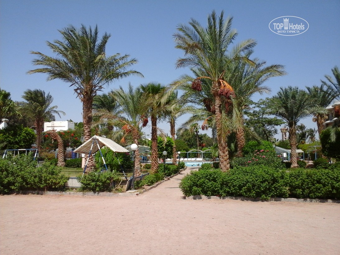 Tours to the hotel El Samaka Beach Hurghada Egypt