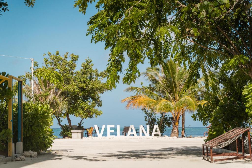 Velana Blu Guest House, фотограції туристів