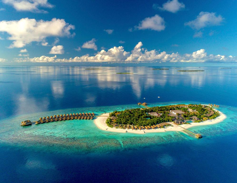 Отель, Kudafushi Resort & Spa