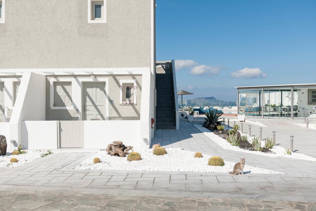 Calderas Dolphin Suites, Греция, Санторини (остров), туры, фото и отзывы