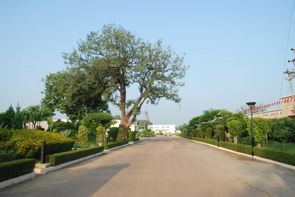 Отель, Индия, Кхаджурахо, Lalit Temple View 