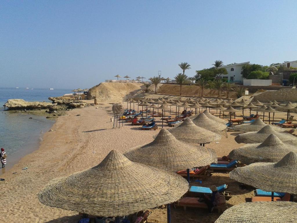 Mazar Resort & Spa, Szarm el-Szejk, Egipt, zdjęcia z wakacje