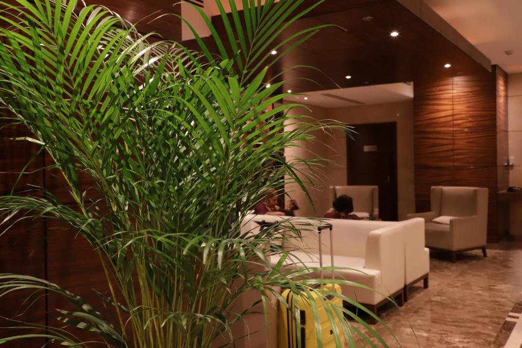 Відпочинок в готелі Majestic City Retreat Hotel Дубай (місто) ОАЕ
